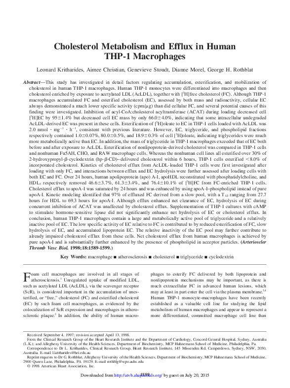 (PDF) Cholesterol Metabolism and Efflux in Human THP-1 Macrophages