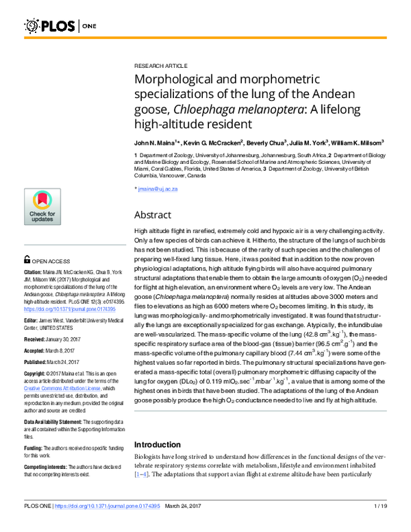 (PDF) Morphological and morphometric specializations of the lung of the ...