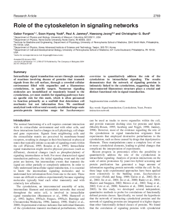 (PDF) Role of the cytoskeleton in signaling networks