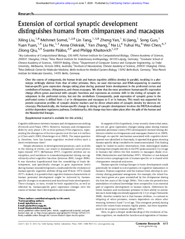 (PDF) Extension of cortical synaptic development distinguishes humans ...