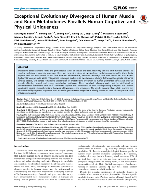 (PDF) Exceptional Evolutionary Divergence of Human Muscle and Brain ...