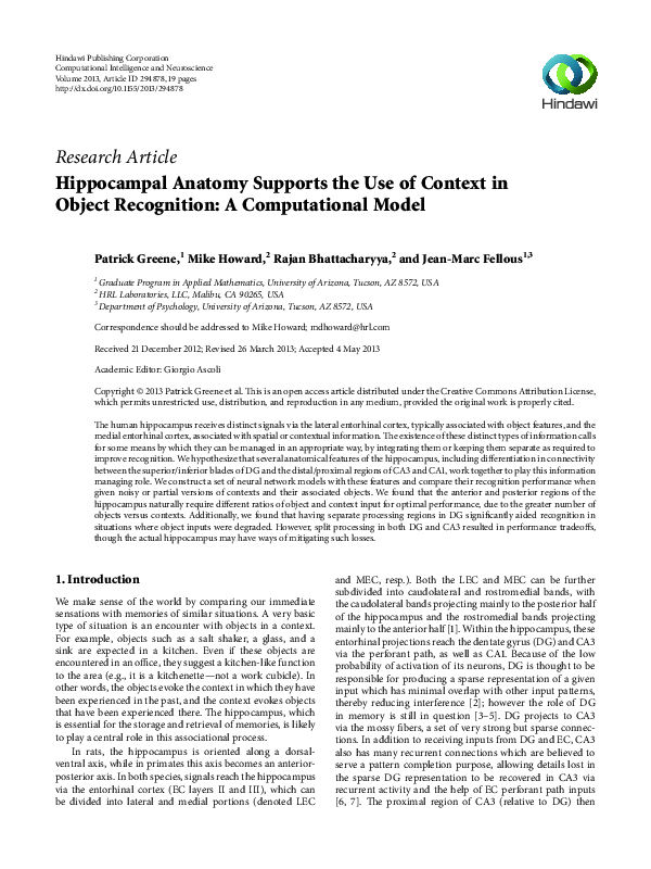 (PDF) Hippocampal Anatomy Supports the Use of Context in Object ...