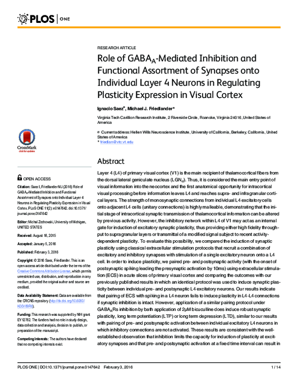 (PDF) Role of GABAA-Mediated Inhibition and Functional Assortment of ...