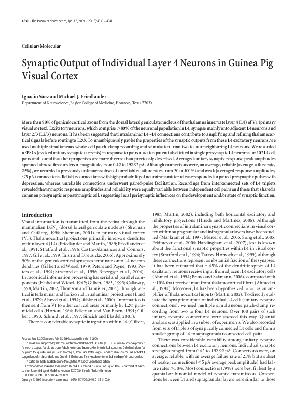 (PDF) Synaptic Output of Individual Layer 4 Neurons in Guinea Pig ...