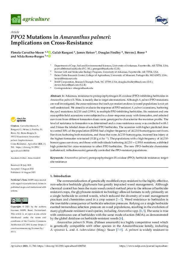 (PDF) PPO2 Mutations in Amaranthus palmeri: Implications on Cross ...