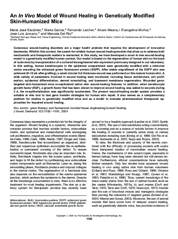(PDF) An In Vivo Model of Wound Healing in Genetically Modified Skin ...