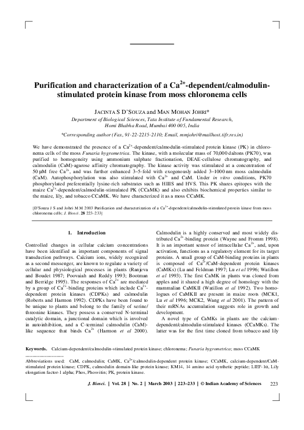 Calmodulin memory image