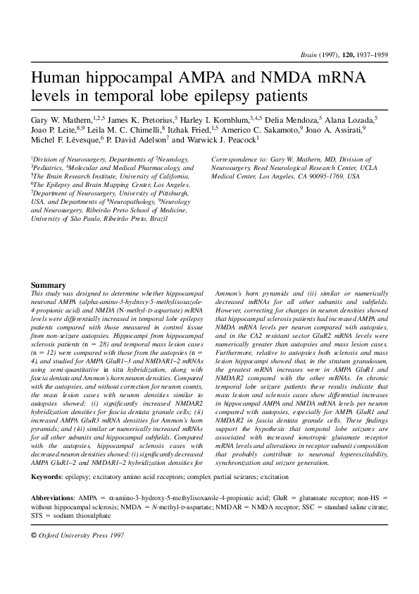 (PDF) Human hippocampal AMPA and NMDA mRNA levels in temporal lobe ...