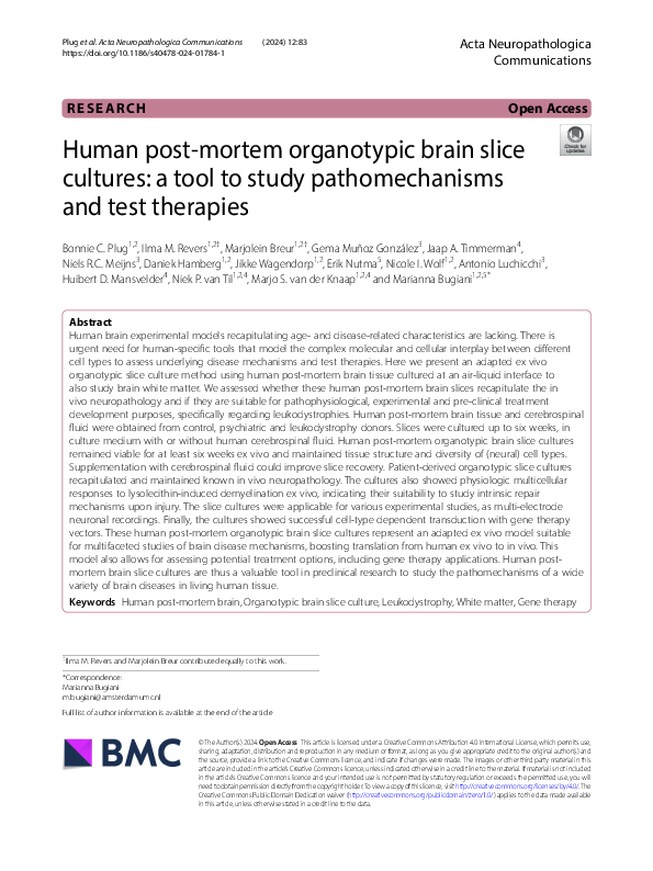(PDF) Human post-mortem organotypic brain slice cultures: a tool to ...