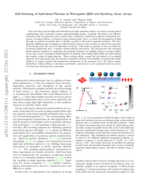 (PDF) Self-ordering of individual photons in waveguide QED and Rydberg ...