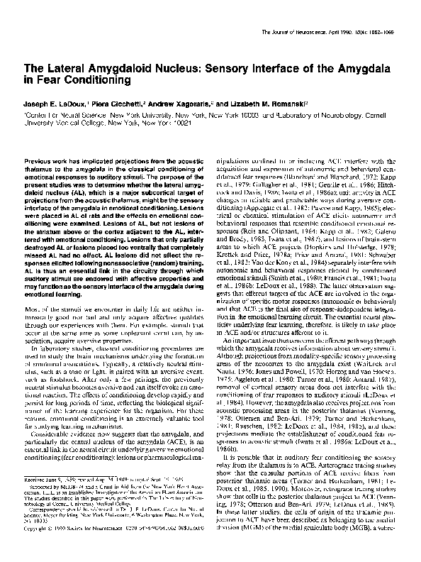(PDF) The lateral amygdaloid nucleus: sensory interface of the amygdala ...