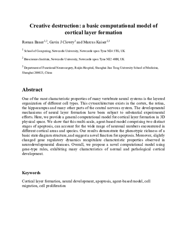 (PDF) Creative destruction: a basic computational model of cortical ...