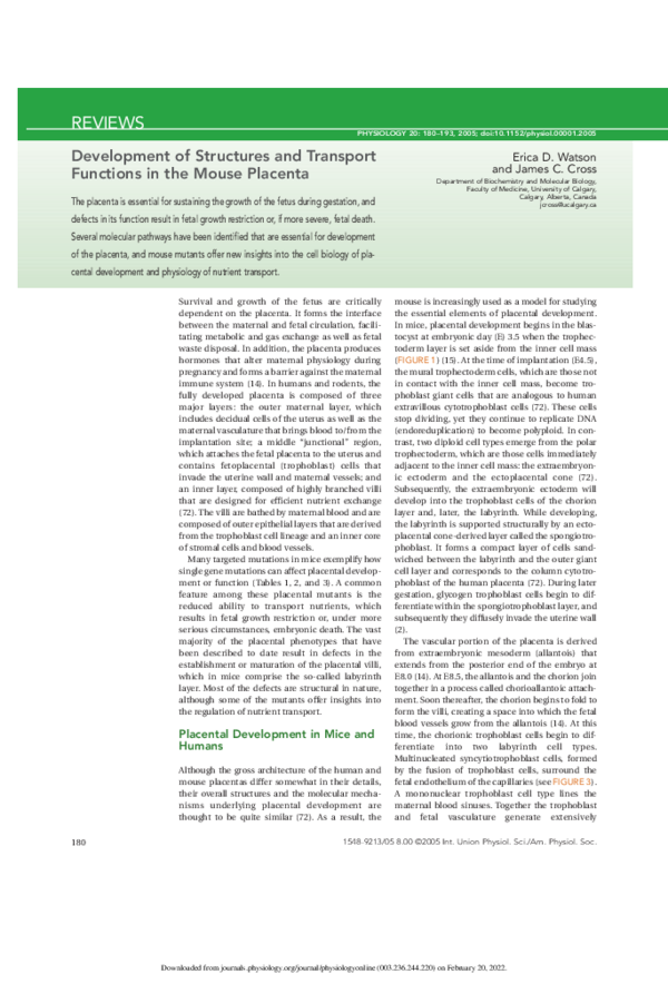 (PDF) Development of Structures and Transport Functions in the Mouse ...