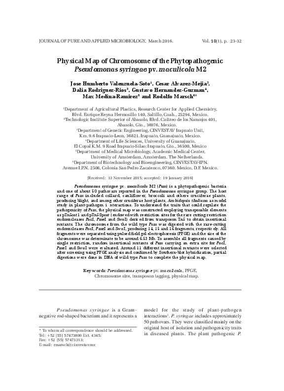 (PDF) Physical Map of Chromosome of the Phytopathogenic Pseudomonas ...