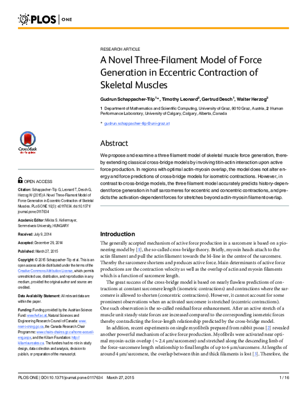 (PDF) A novel three-filament model of force generation in eccentric ...