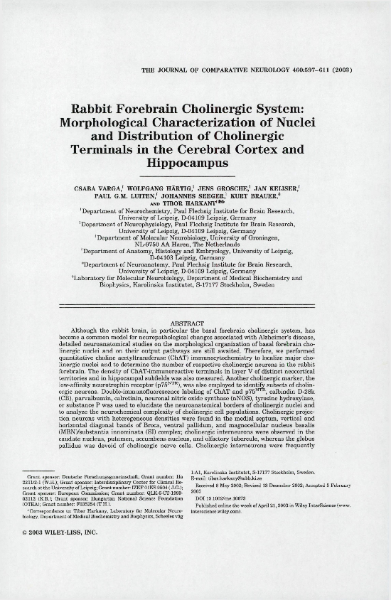 (PDF) Rabbit forebrain cholinergic system: Morphological ...