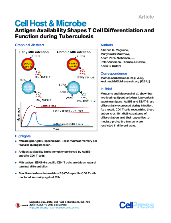 (PDF) Antigen Availability Shapes T Cell Differentiation and Function ...