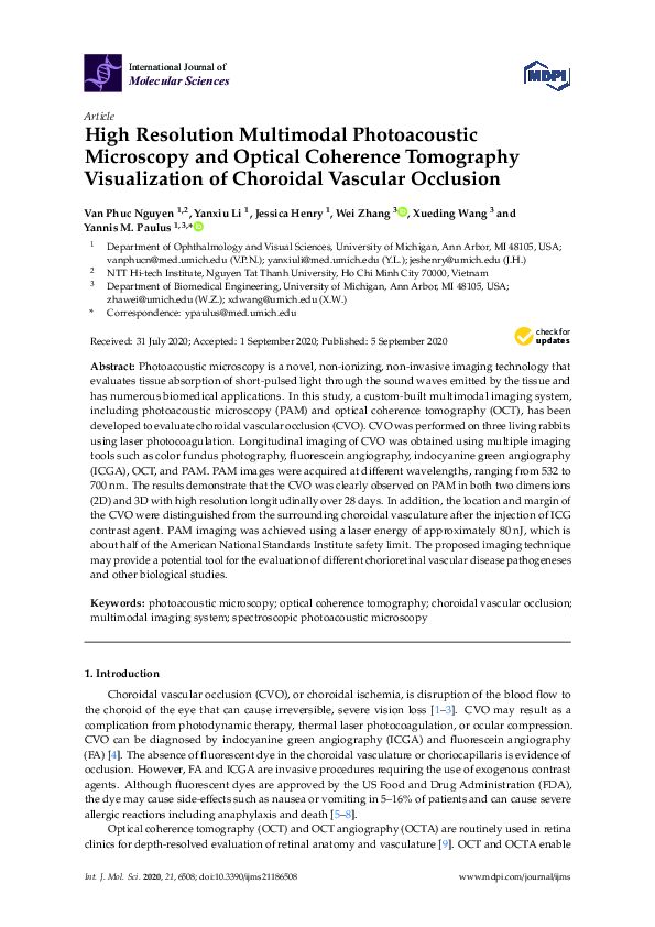 (PDF) High Resolution Multimodal Photoacoustic Microscopy and Optical ...
