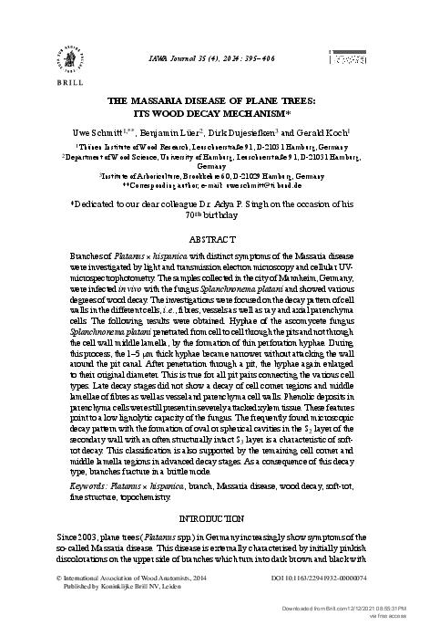 (PDF) The Massaria disease of plane trees:its wood decay mechanism