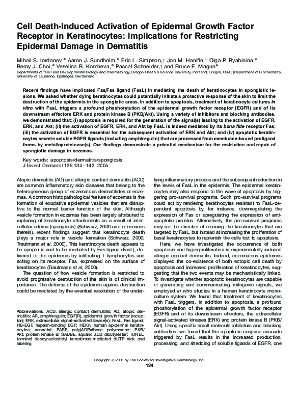 (PDF) Cell Death-Induced Activation of Epidermal Growth Factor Receptor ...