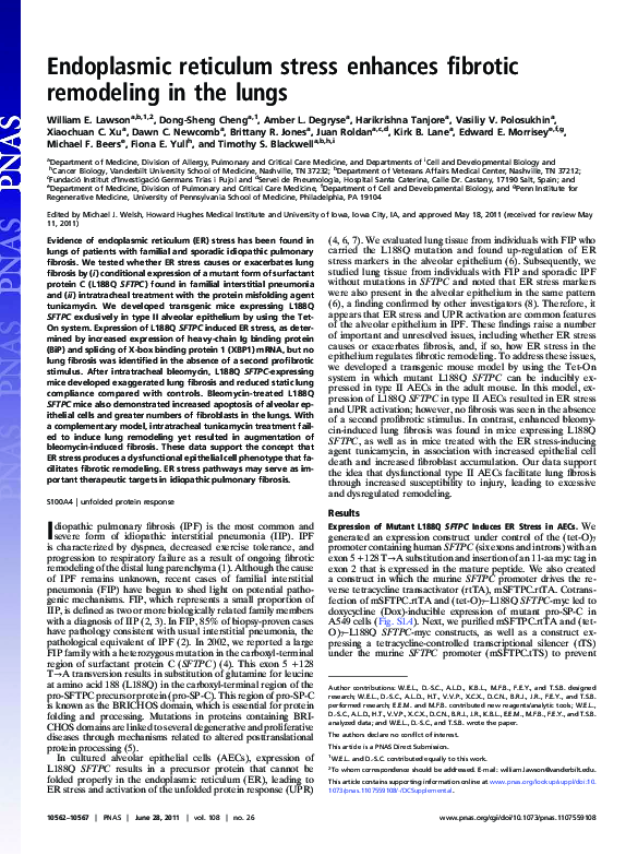 (PDF) Endoplasmic reticulum stress enhances fibrotic remodeling in the ...