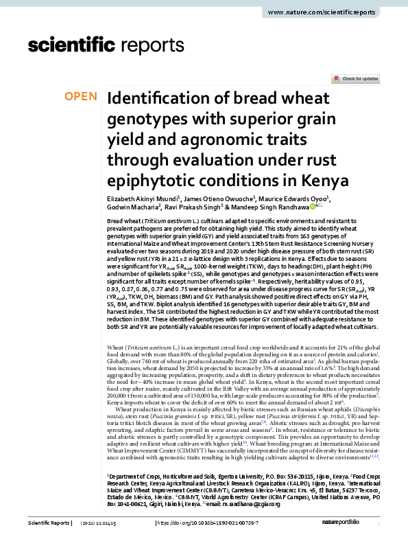 (PDF) Identification of bread wheat genotypes with superior grain yield ...