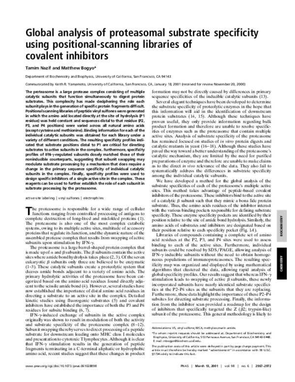 (PDF) Global analysis of proteasomal substrate specificity using ...