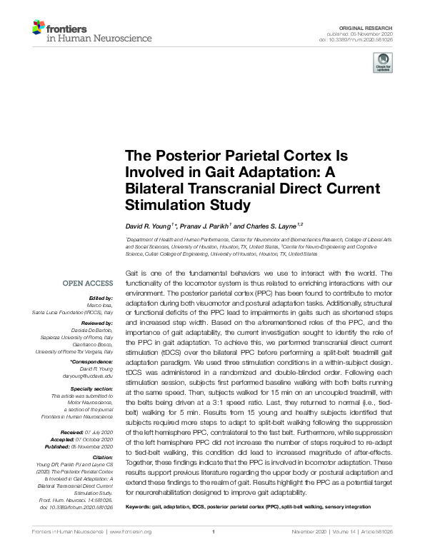 (PDF) The Posterior Parietal Cortex Is Involved in Gait Adaptation: A ...