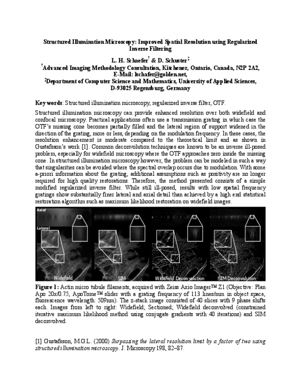 (PDF) Structured Illumination Microscopy: Improved Spatial Resolution ...