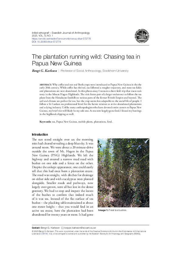 (PDF) The plantation running wild: Chasing tea in Papua New Guinea