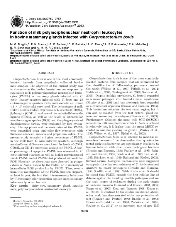 (PDF) Function of milk polymorphonuclear neutrophil leukocytes in ...
