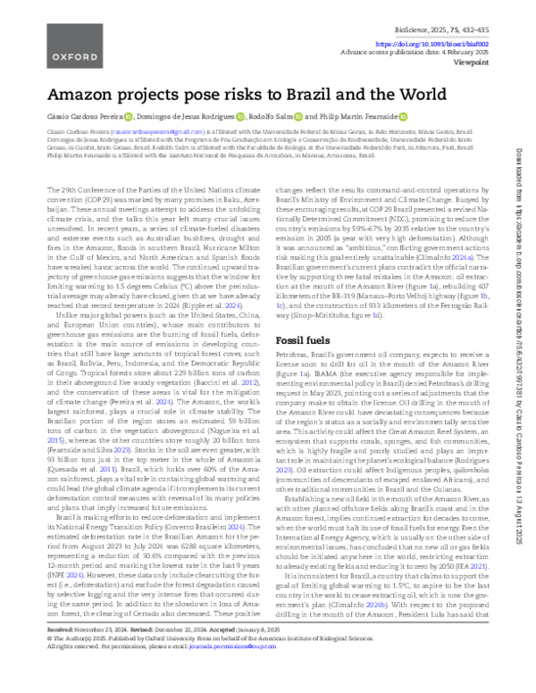 (PDF) Amazon projects pose risks to Brazil and the World
