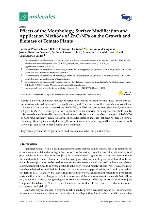 (PDF) Effects of the Morphology, Surface Modification and Application ...