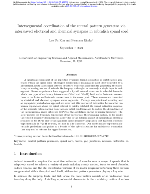(PDF) Intersegmental coordination of the central pattern generator via ...