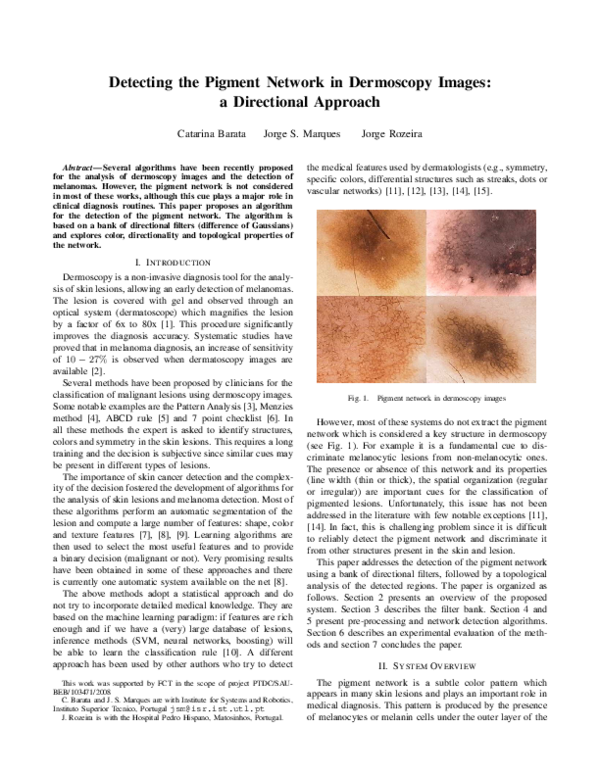 (PDF) Detecting the pigment network in dermoscopy images: A directional ...