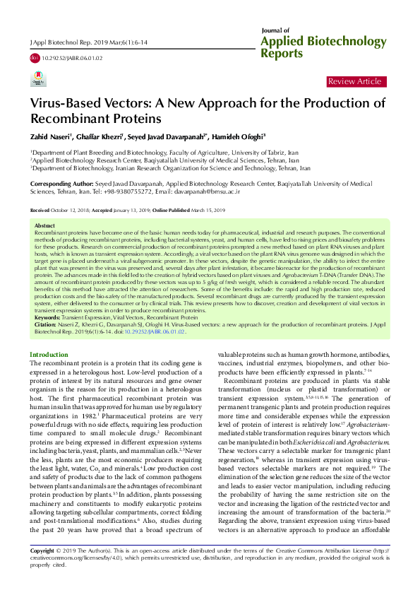 (PDF) Virus-Based Vectors: A New Approach for Production of Recombinant ...