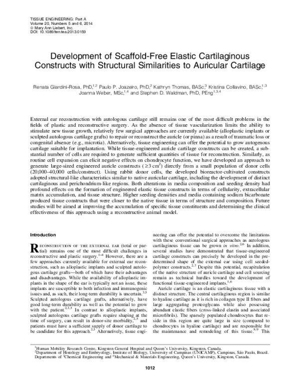 (PDF) Development of Scaffold-Free Elastic Cartilaginous Constructs ...