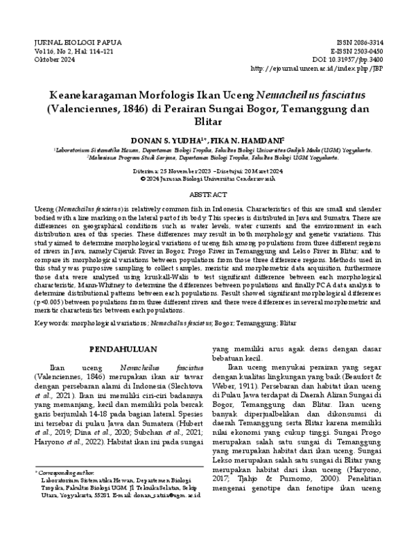 (PDF) Keanekaragaman Morfologis Ikan Uceng Nemacheilus fasciatus ...