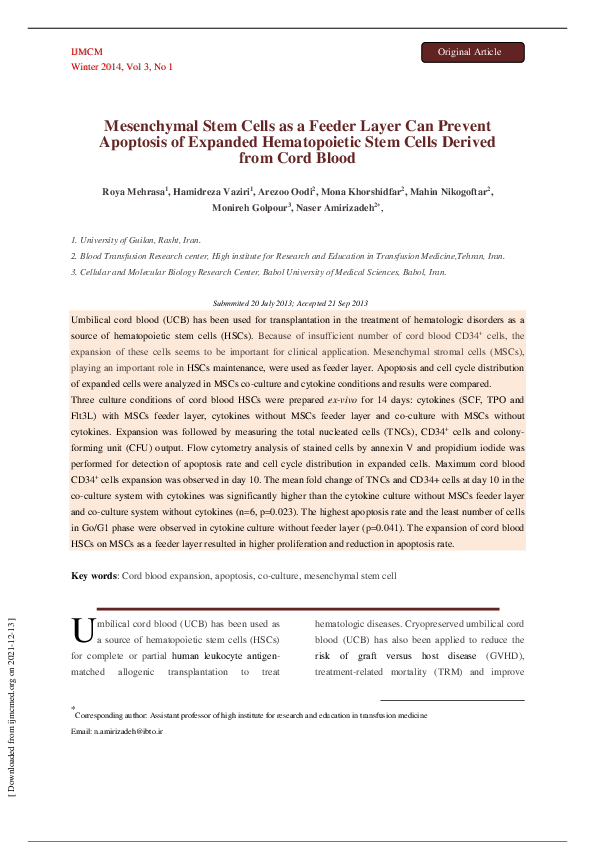 (PDF) Mesenchymal stem cells as a feeder layer can prevent apoptosis of ...