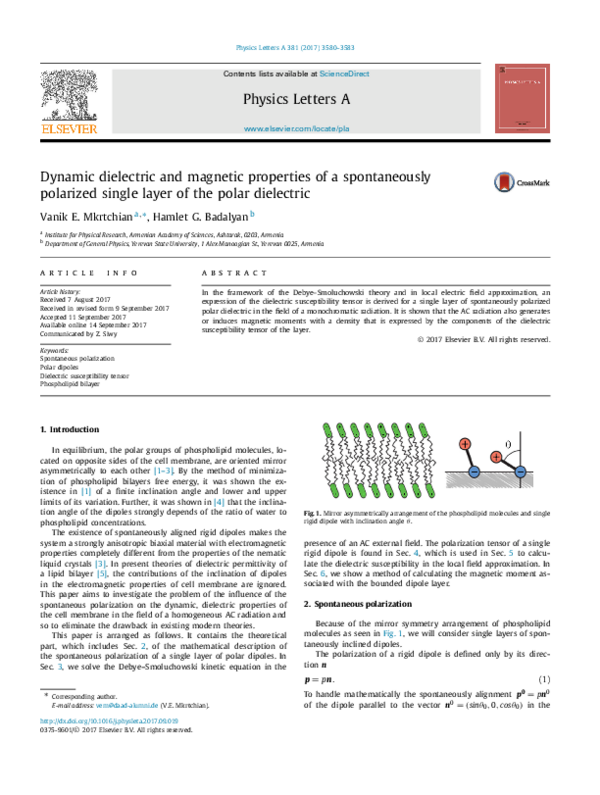 (PDF) Dynamic dielectric and magnetic properties of a spontaneously ...
