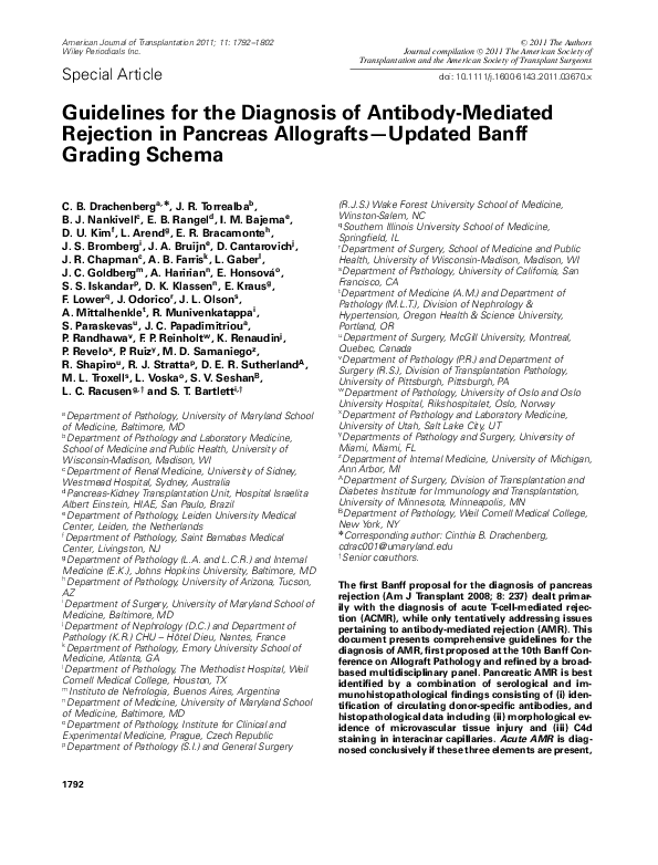 (PDF) Guidelines for the Diagnosis of Antibody‐Mediated Rejection in ...