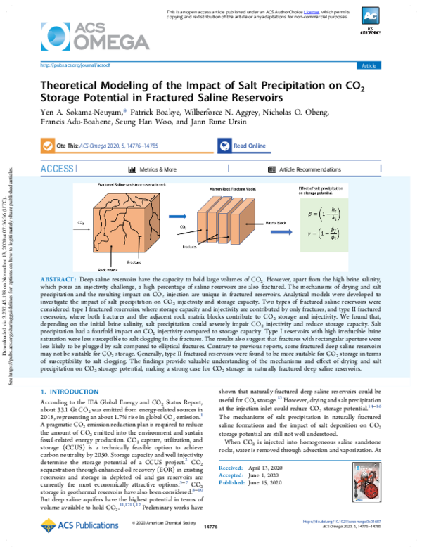 (PDF) Theoretical Modeling of the Impact of Salt Precipitation on CO2 ...
