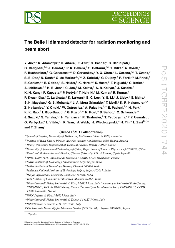 (PDF) The Belle II diamond-detector for radiation monitoring and beam abort