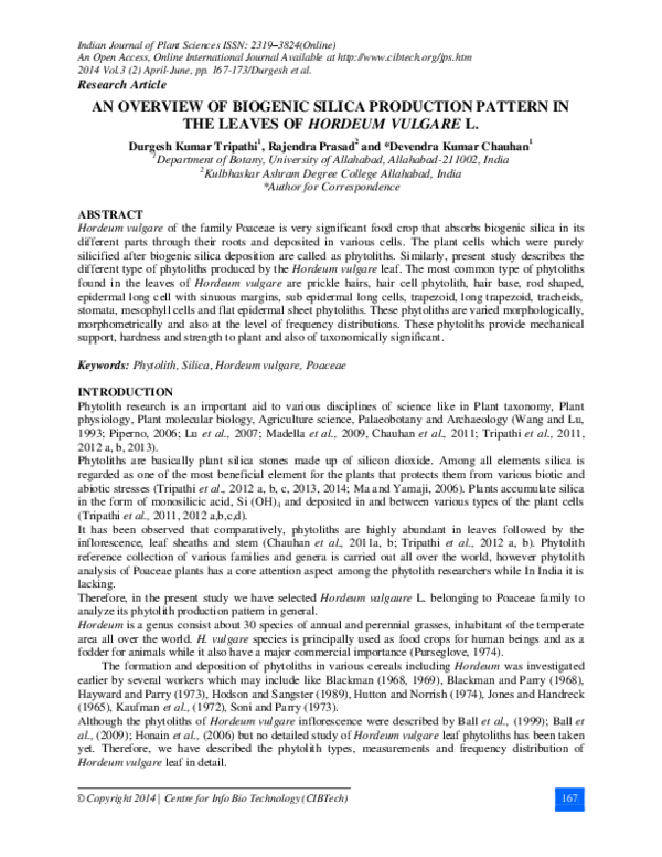 (PDF) An overview of biogenic silica production pattern in the leaves ...
