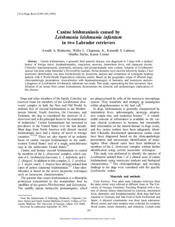 (PDF) Canine Leishmaniasis Caused by Leishmania Leishmania Infantum in ...
