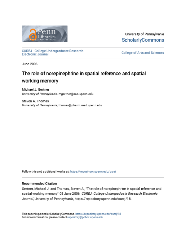 (PDF) The role of norepinephrine in spatial reference and spatial ...