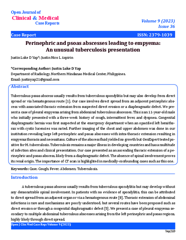 (PDF) Perinephric and psoas abscesses leading to empyema: An unusual ...