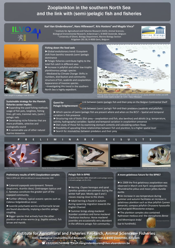 (PDF) Zooplankton in the southern North Sea and the link with (semi ...
