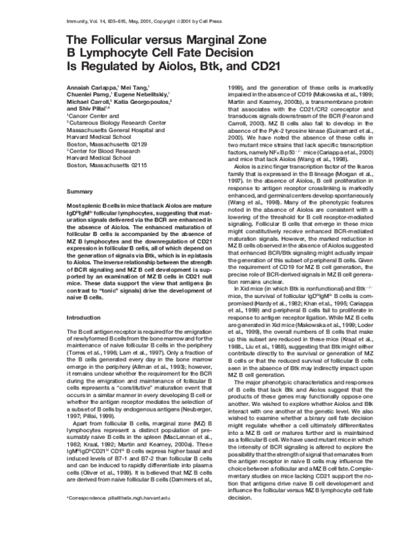 (PDF) The Follicular versus Marginal Zone B Lymphocyte Cell Fate ...
