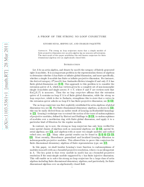 (PDF) A proof of the strong no loop conjecture